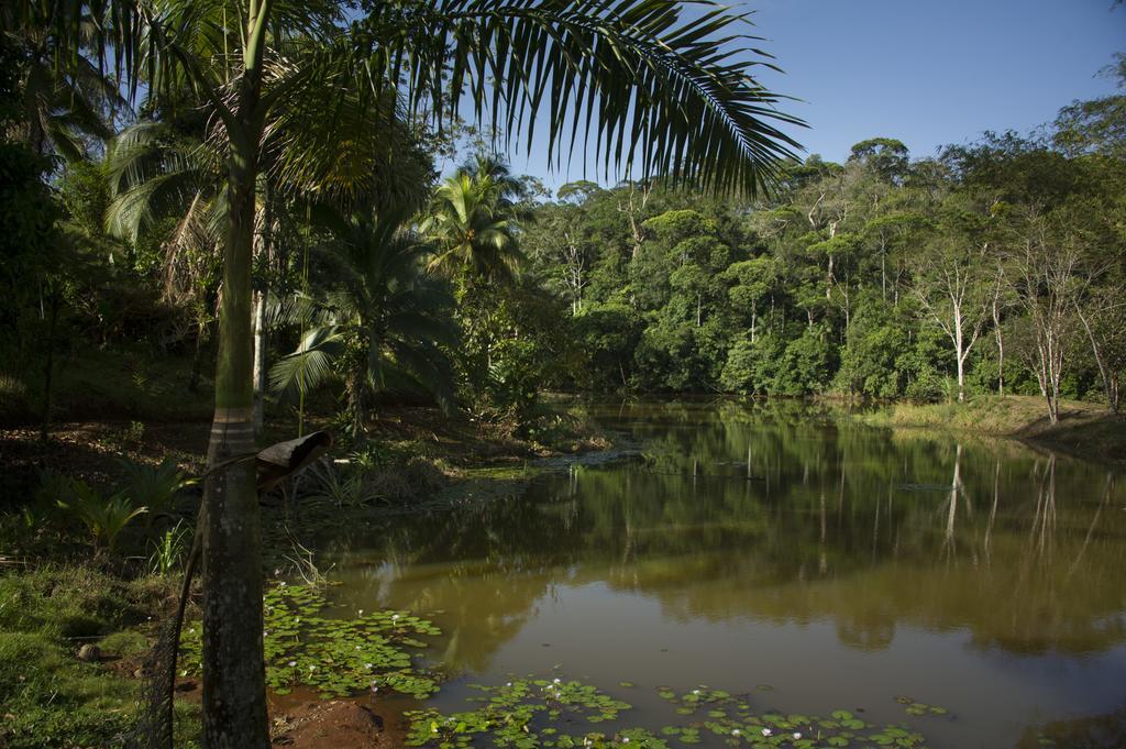La Laguna Del Lagarto Eco-Lodge Pital  Екстер'єр фото