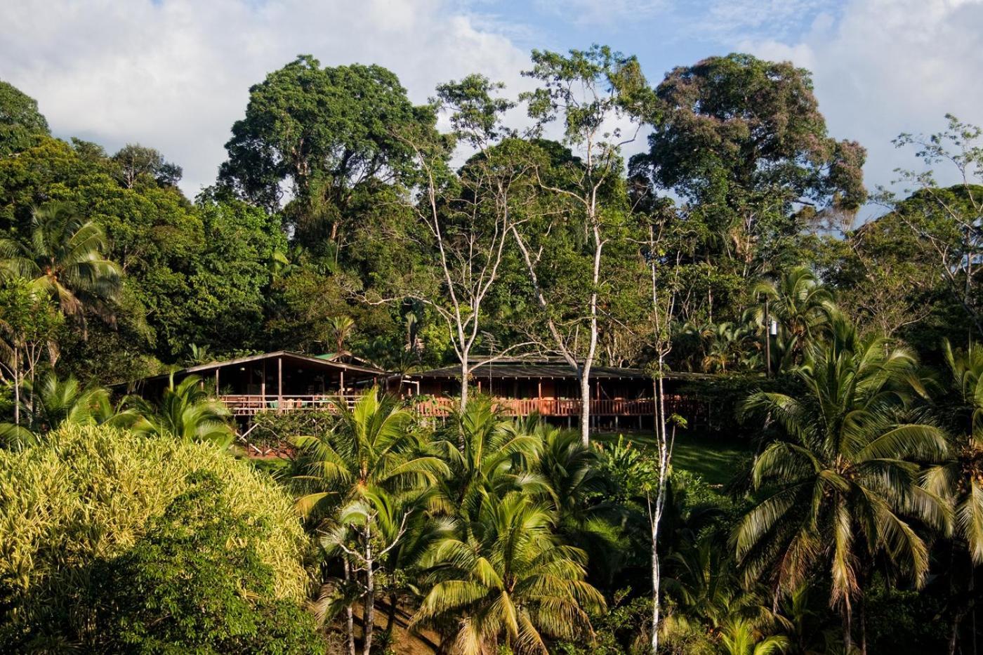 La Laguna Del Lagarto Eco-Lodge Pital  Екстер'єр фото