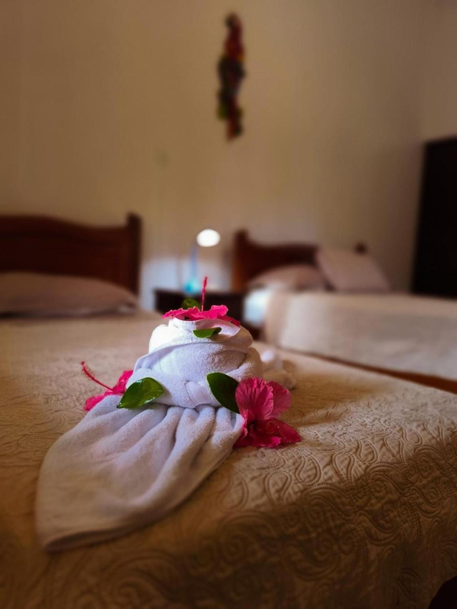 La Laguna Del Lagarto Eco-Lodge Pital  Екстер'єр фото