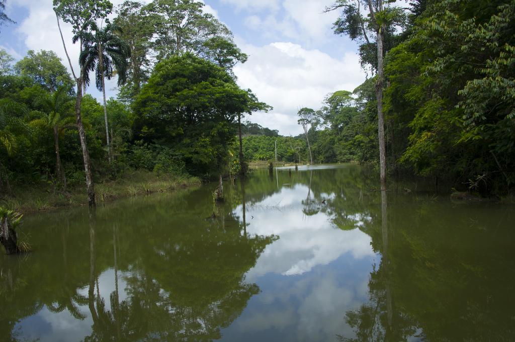 La Laguna Del Lagarto Eco-Lodge Pital  Екстер'єр фото