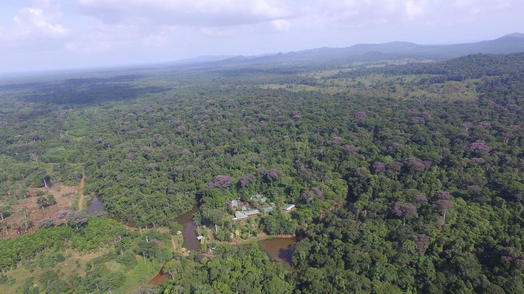 La Laguna Del Lagarto Eco-Lodge Pital  Екстер'єр фото