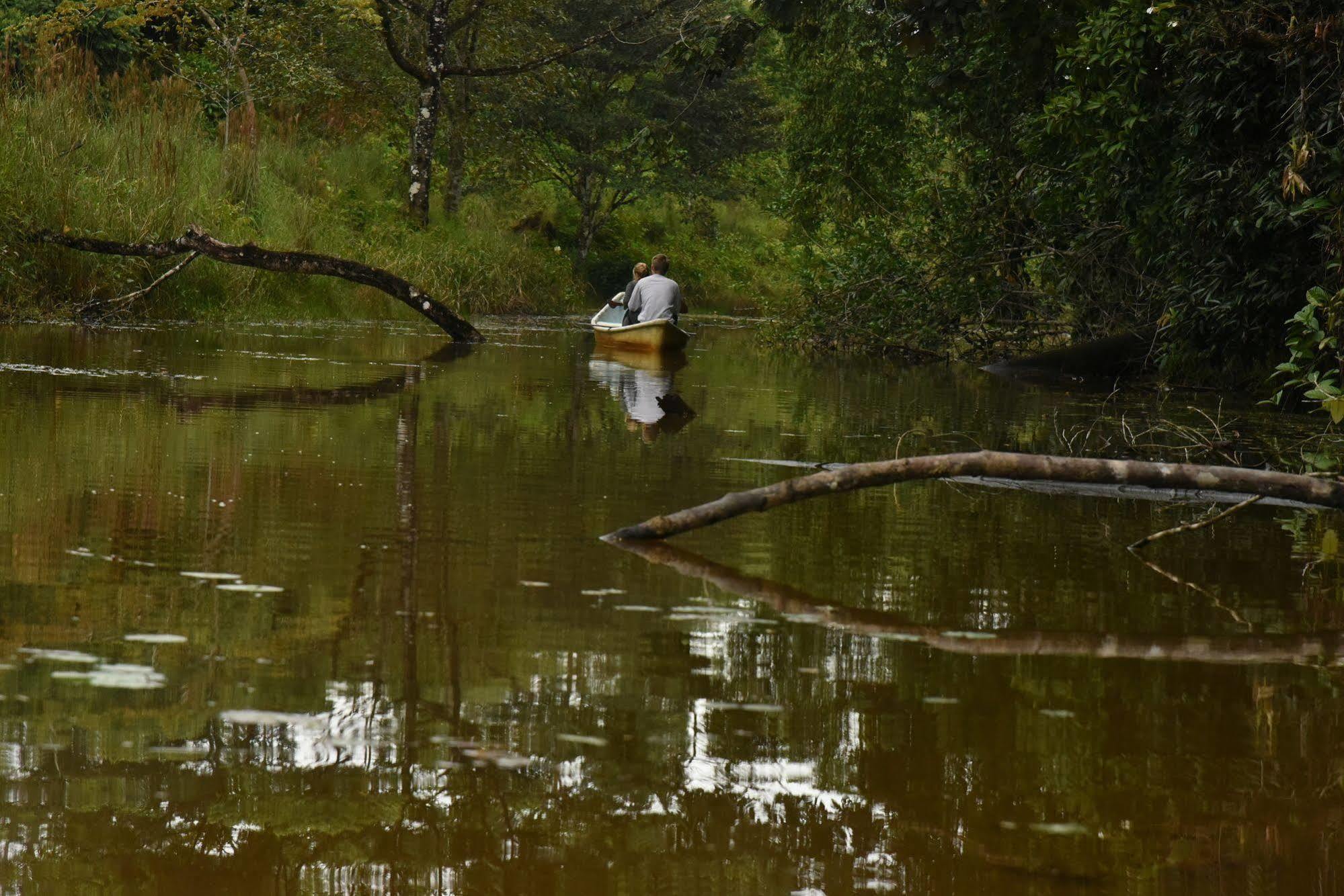 La Laguna Del Lagarto Eco-Lodge Pital  Екстер'єр фото