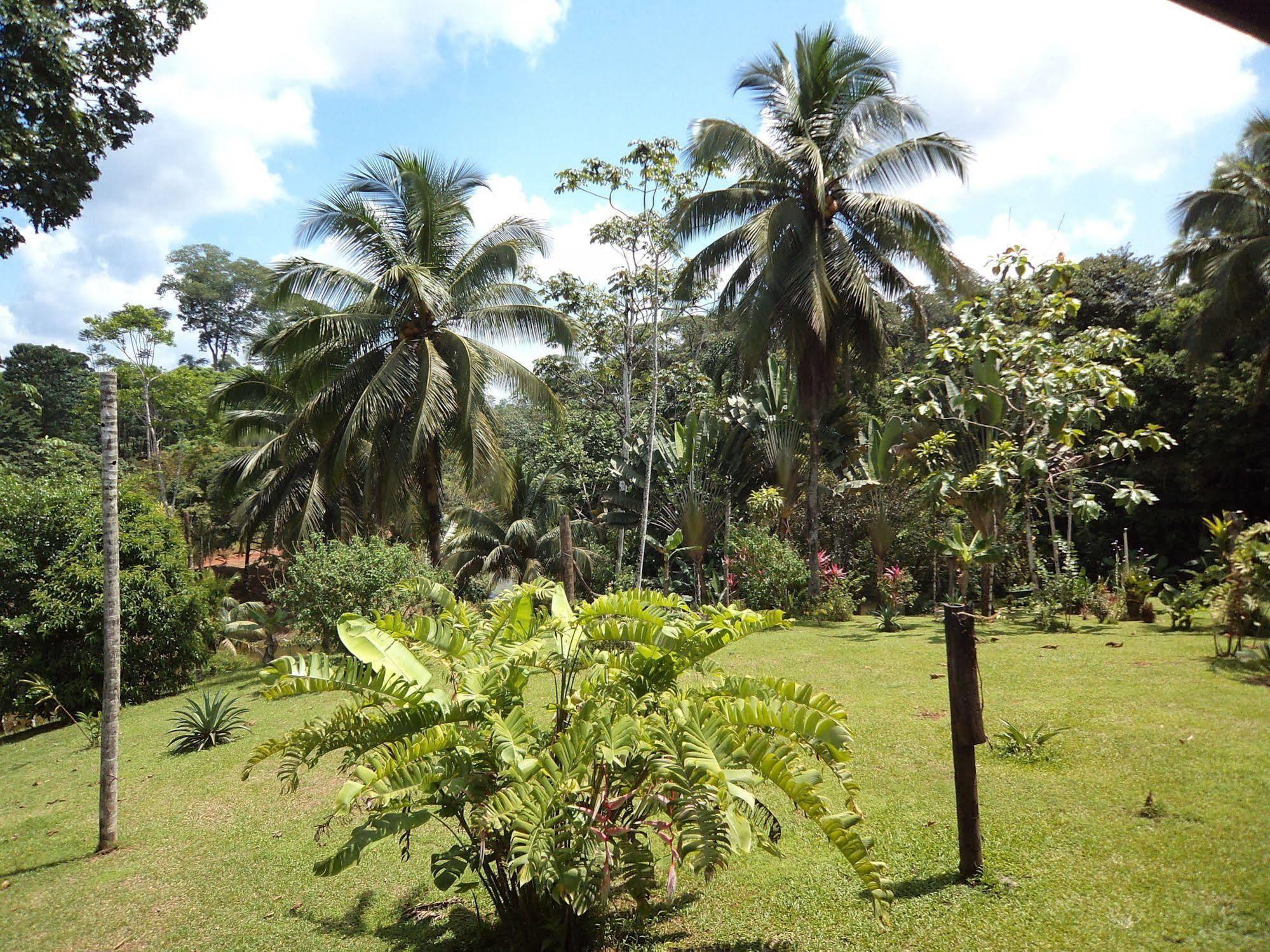 La Laguna Del Lagarto Eco-Lodge Pital  Екстер'єр фото