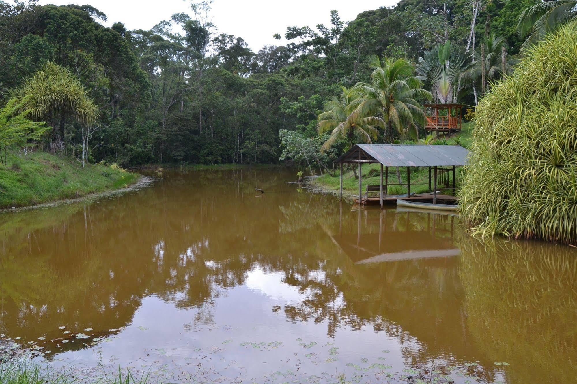 La Laguna Del Lagarto Eco-Lodge Pital  Екстер'єр фото