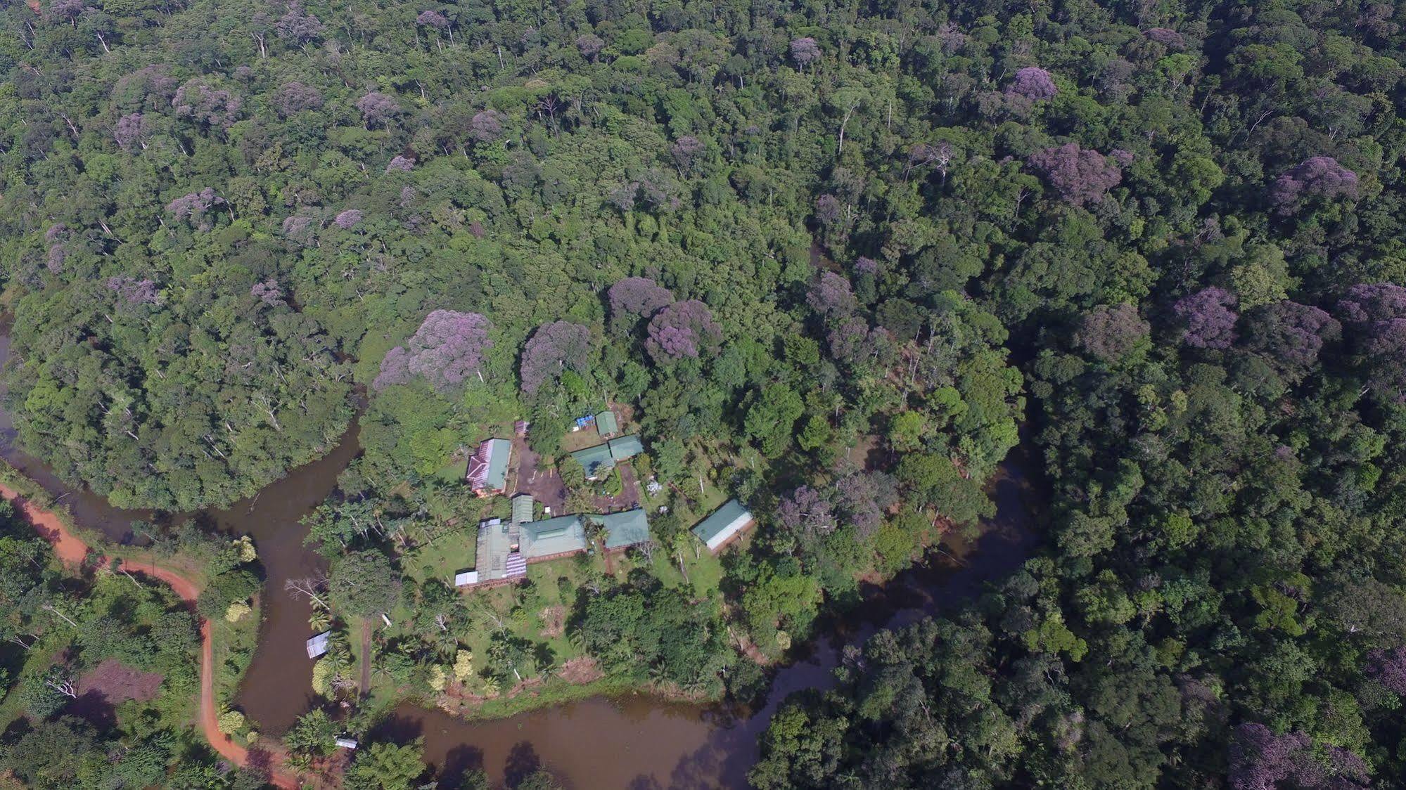 La Laguna Del Lagarto Eco-Lodge Pital  Екстер'єр фото