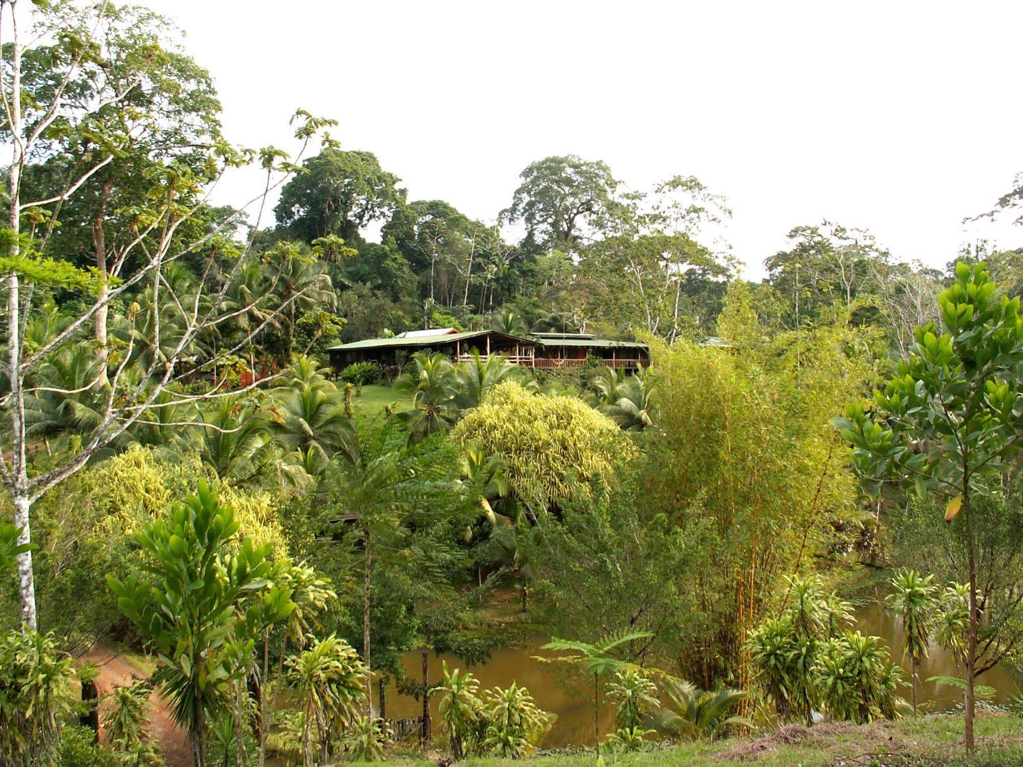 La Laguna Del Lagarto Eco-Lodge Pital  Екстер'єр фото