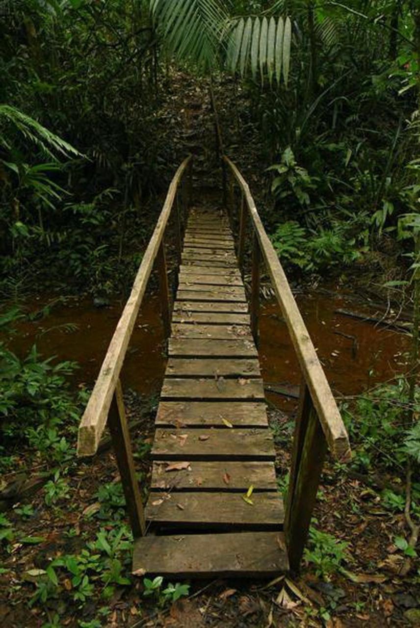 La Laguna Del Lagarto Eco-Lodge Pital  Екстер'єр фото